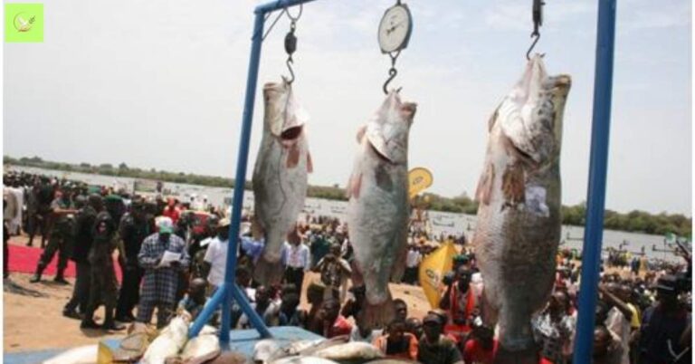 Fishing Festival Blessings