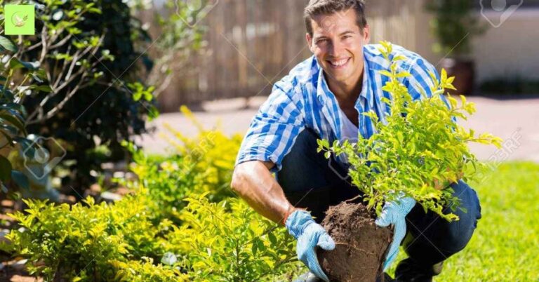 Garden Blessings & Quotes