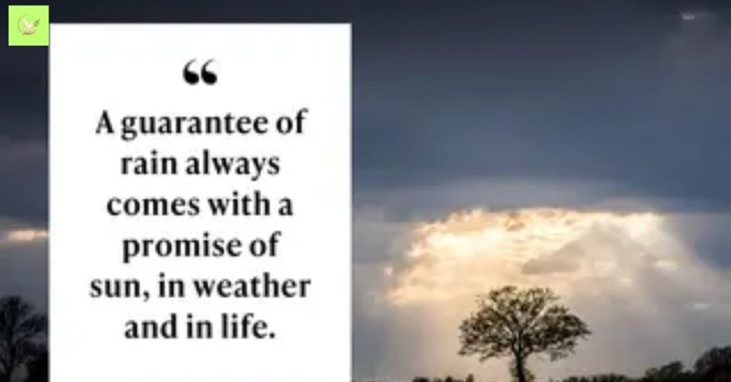 funny-rain-blessings-quotes