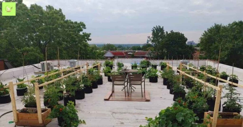garden-blessings-restaurant