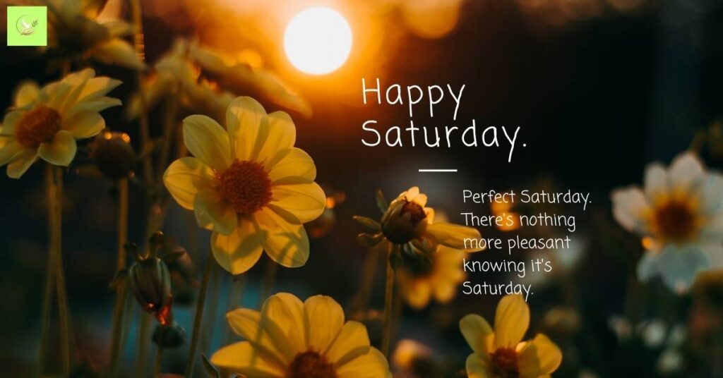 morning-blessings-saturday